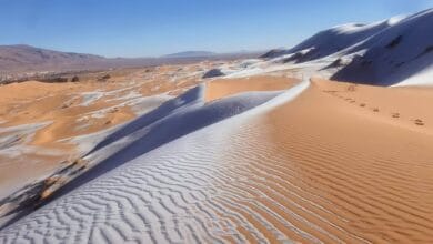 الرمال الذهبية الممزوجة بالجليد عين الصفراء النعامة الجزائر
