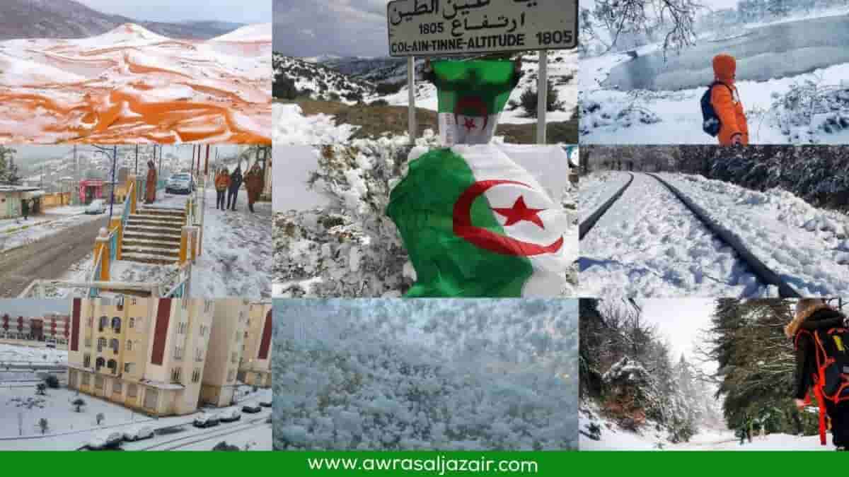 تساقط ثلوج كثيفة في الجزائر